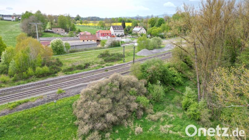 Beim öffentlichen Abwasserdurchlass in der Dammstraße im Ortsteil Scheibe werden große Mengen an Fremdwasser eingeleitet. Das soll mittels einer eigenen Entwässerungsleitung durch den Bahnkörper hindurch zum Vorfluter Hainbach beseitigt werden. Bild: nza