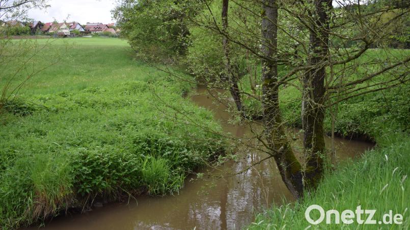 In vielen Windungen schlängelt sich der Katzbach von Guteneck nach Unterkatzbach. Dabei kommt es zu Ausspülungen der Uferböschung. Bild: bnr