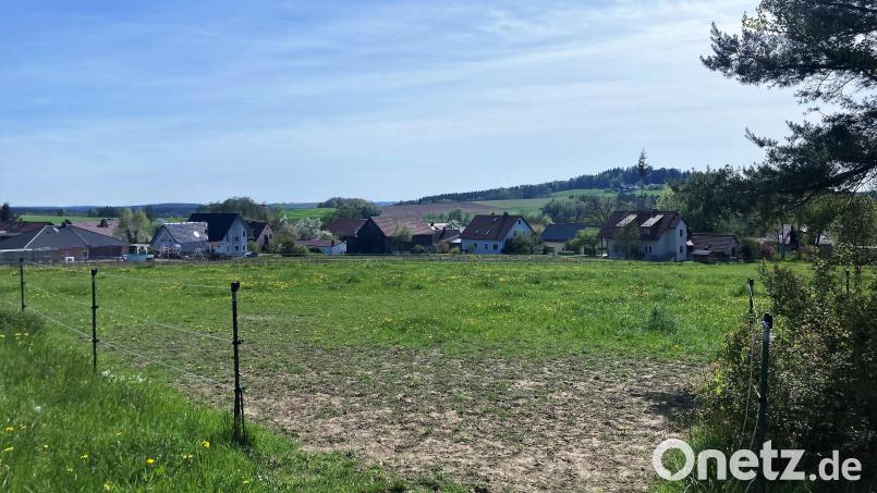 Noch ist es eine Pferdekoppel, bald sollen hier in Neusteinreuth Bauparzellen entstehen. Bild: stg
