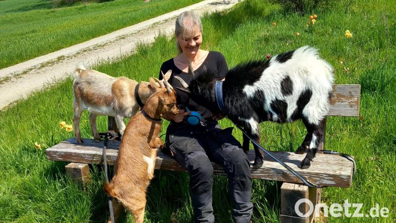 Uschi Heindl zieht oft die Blicke von Wanderern und Radlern auf sich: Hier ist sie am Bienenlehrpfad inmitten blühender Tulpen umgeben von ihren Ziegen und dem Hofhund Shadow. Bild: hka