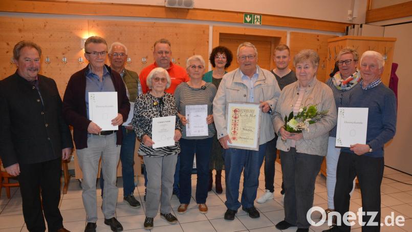 Jahrzehntelang treue Mitglieder ehrte der Obst- und Gartenbauverein Mitterteich bei der Jahresversammlung in der „Petersklause“. Zum neuen Ehrenmitglied wurde Alfred Knossalla ernannt (Fünfter von rechts, mit den weiteren Geehrten). Es gratulierten Vorsitzende Marion Puchta (Zweite von rechts), stellvertretende Kreisvorsitzende Inge Härtl (Sechste von rechts) und Zweiter Bürgermeister Johann Brandl (links). Bild: jr