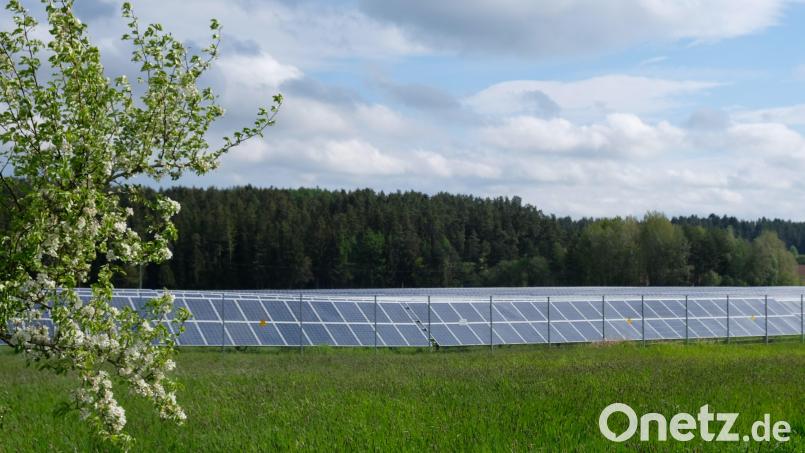 Ökonomisch und ökologisch handeln. Für die Gemeinde Speinshart kein Gegensatz. Der künftige Solarpark Hallbühl ist die Antwort der Kommune auf die Umsetzung des Klimaschutzes. Träger des Projekts ist die Energiegenossenschaft Grafenwöhr. Bereits seit 2010/2011 betreibt die NEW-Neue Energien West den Solarpark Barbaraberg (unser Bild) unweit des geplanten zweiten Projekts Hallbühl. Bild: do