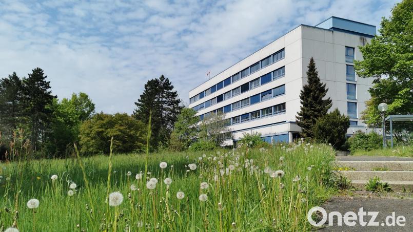 Pusteblume: Der Landkreis Schwandorf nimmt das Vorkaufsrecht für das Krankenhaus Oberviechtach nicht wahr. Bild: Portner
