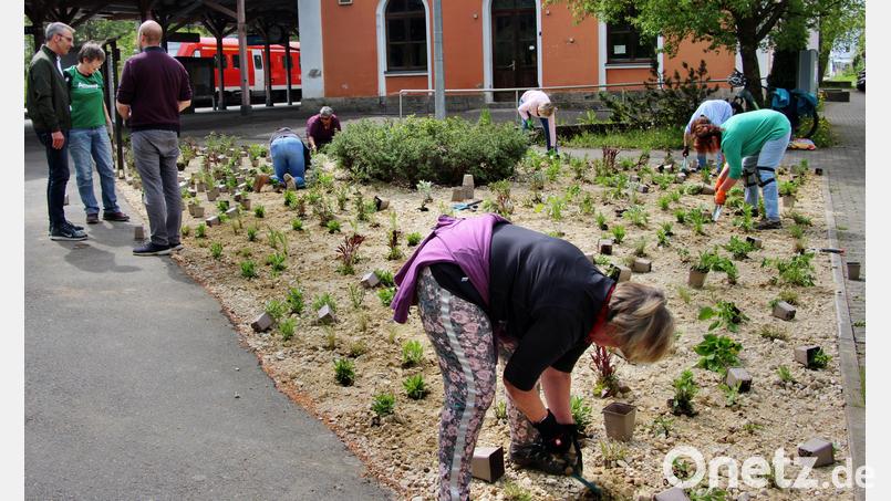 Während jede der fleißigen Mitglieder des Gartenbauvereins Neukirchen rund 100 Pflanzen in die Erde einbrachte, erörterten Bürgermeister Peter Achatzi (links), Gartenbauvereinsvorsitzende Annemarie Hubmann und Kreisfachberater Markus Fuchs letzte Details der lobenswerten Aktion. Bild: ds