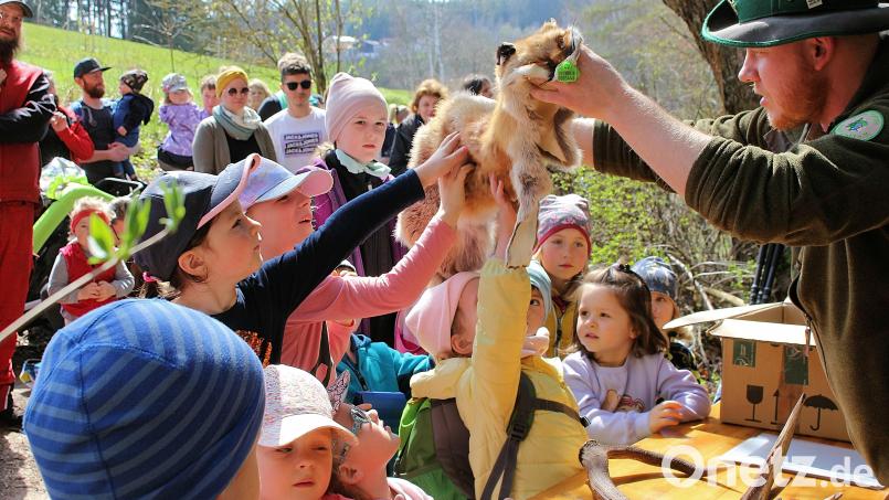 Für einen besonderen Tag in der freien Natur sorgte Naturpark-Ranger Jonas Ständer (rechts) bei der Umweltwoche des Kindergartens Friedenfels. Bild: bsc