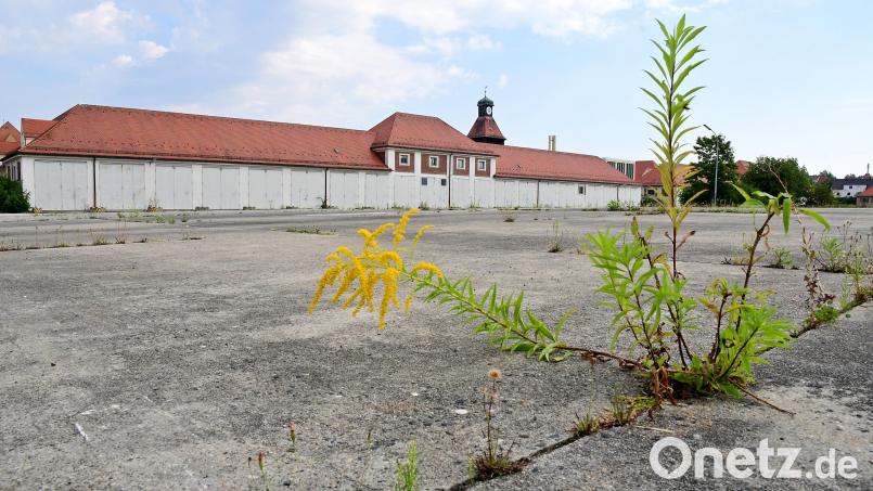 Auf dem Gelände der ehemaligen Leopoldkaserne findet am Samstag, 20. Mai, eine Großübung von Polizei, Feuerwehr und Rettungsdienst statt. Bild: Petra Hartl