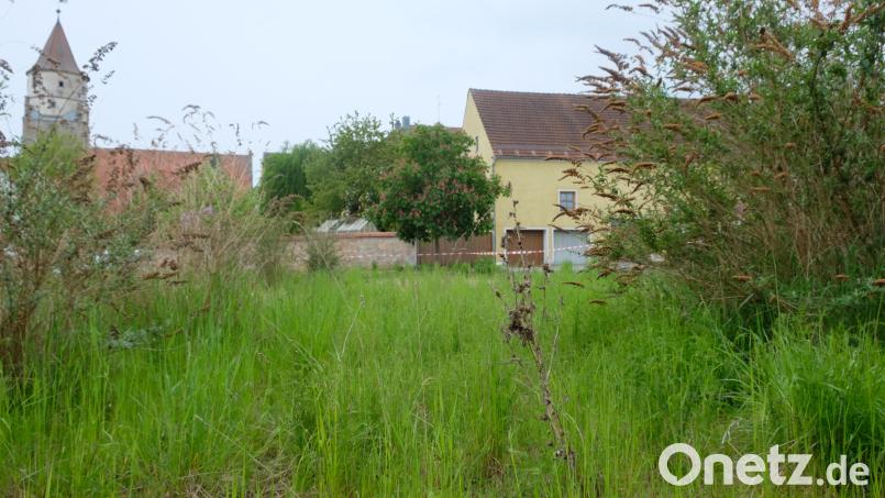 Der unansehnliche Wildwuchs auf dem Gelände des ehemaligen Feuerwehrhauses soll bald der Vergangenheit angehören. Spätestens im Juli 2023 rechnen Architekt und Kirchenverwaltung auf dem Areal mit dem Baubeginn eines neuen Pfarr- und Jugendheimes Bild: do