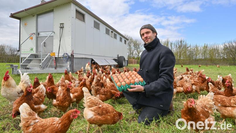 Mit frischen Eiern vor einem Hühnermobil: Auch das ist ökologische Landwirtschaft, wie sie in der neuen Öko-Modellregion &quot;Naturpark Oberer Bayerischer Wald&quot; gefördert werden soll. Symbolbild: Patrick Pleul/dpa