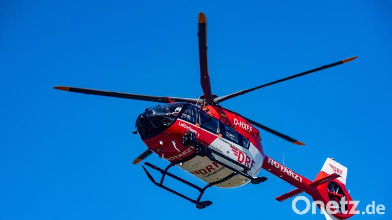 Ein 57-Jähriger wurde bei einem Unfall bei Waldarbeiten schwer verletzt. Symbolbild: Stefan Sauer/dpa