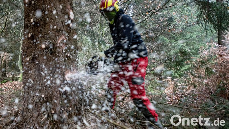 Ein Forstwirt fällt eine Fichte – in Freudenberg am Hang übernimmt das ein Spezialgerät. Baumfällarbeiten sorgen hier in den nächsten Tagen vorübergehend für Verkehrsbehinderungen. Symbolbild: Swen Pförtner/dpa
