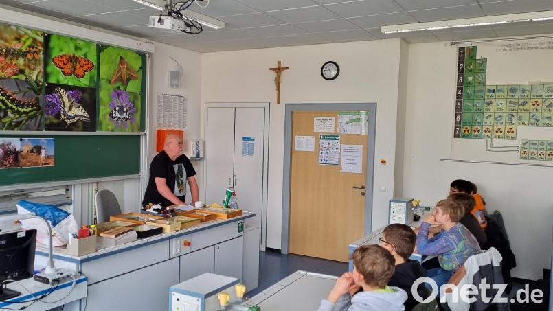 Manfred Ströhle informierte an der Realschule im Stiftland in Waldsassen über Insekten. Bild: Realschule im Stiftland/exb