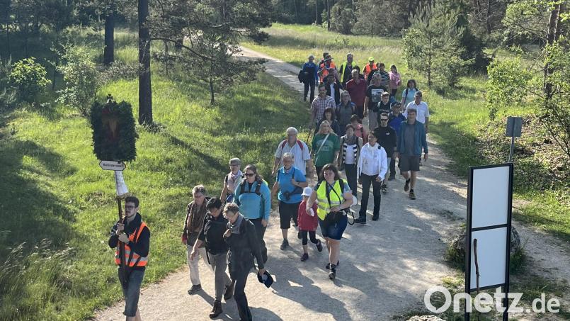 Die Kaltenbrunner Fußwallfahrer auf dem Weg nach Gößweinstein. Bild: bk