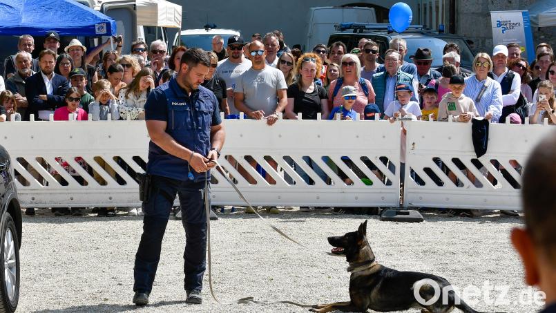 Großer Auftritt für die Vierbeiner der Polizei: die Hundestaffel. Bild: Petra Hartl