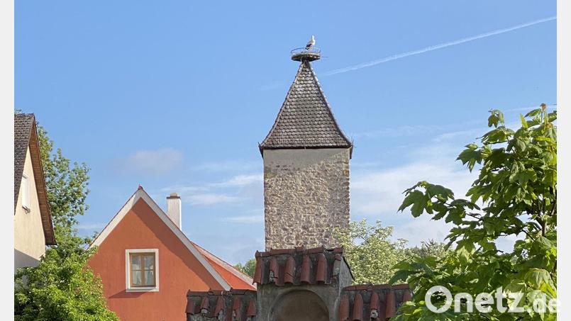 Mit der lang ersehnten Belegung des Storchennestes auf dem Nabburger Pulverturm ist die malerische Idylle nahezu perfekt. Bild: aub