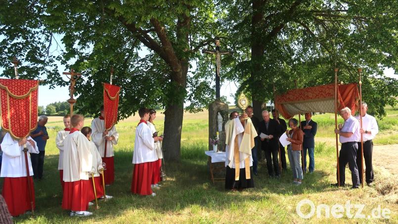 Bei der Flurprozession der Pfarrei St. Ägidius stellt Stadtpfarrer Pater Robin Menschen und Natur unter den Segen Gottes. Bild: rha
