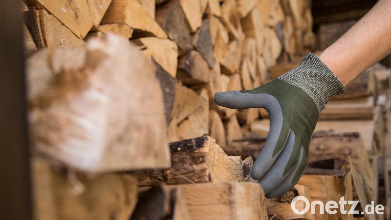 Die Forstbetriebsgemeinschaft Neustadt-Nord betreut 825 Mitglieder mit über 7000 Hektar Wald. Bild: Christin Klose