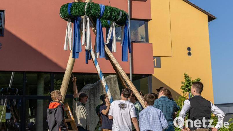 Die Abschlussschüler der Lobkowitz-Realschule genießen noch einmal die Gaudi, bevor es in die Prüfungen geht. Sie stellen einen Maibaum auf. Bild: Tobias Neubert/exb