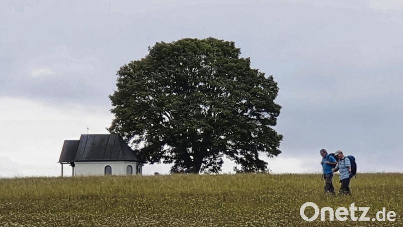 Die Kapelle auf dem Dreifaltigkeitsberg Muglhof wurde vor 30 Jahren gebaut. Archivbild: Josef Maier