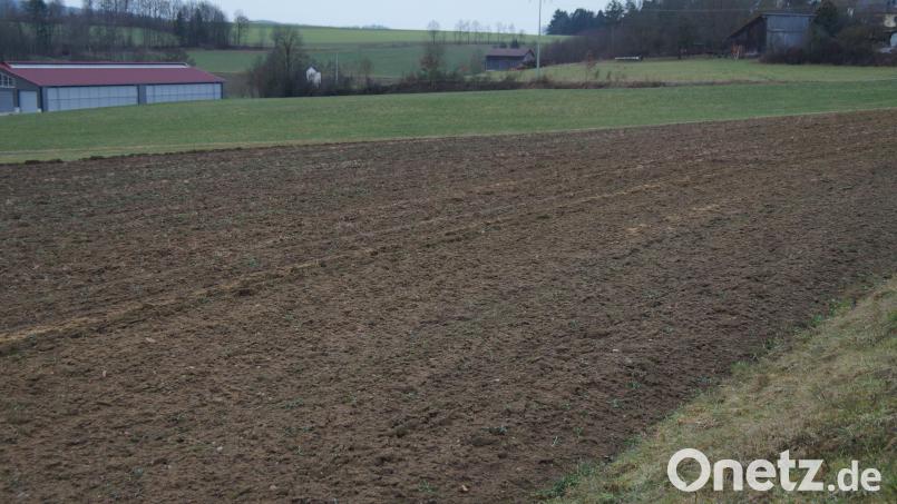 Östlich von Pottenhof und nördlich der Pottenhofermühle liegt das Areal für die geplante Freiflächenphotovoltaikanlage, die durch einen Feldweg getrennt ist und insgesamt eine Fläche von 3,3 Hektar einnimmt. Bild: wel
