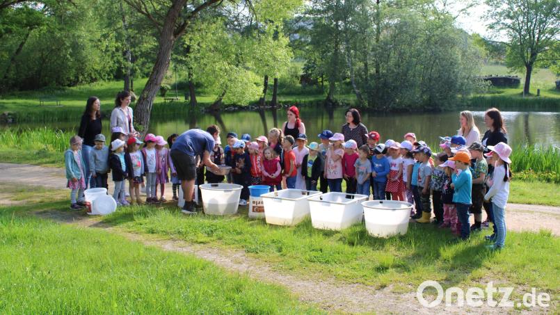 Fischzuchtmeister Michael Heberlein erklärt den Kindergartenkindern, welche jungen Fische im Marktweiher eingesetzt werden. Bild: Kindergarten Oberviechtach/exb