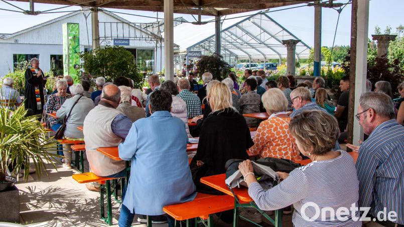 Die evangelische Kirchengemeinde Schwarzenfeld feiert an Pfingsten einen Rosengottesdienst. Bild: Gentzwein/exb