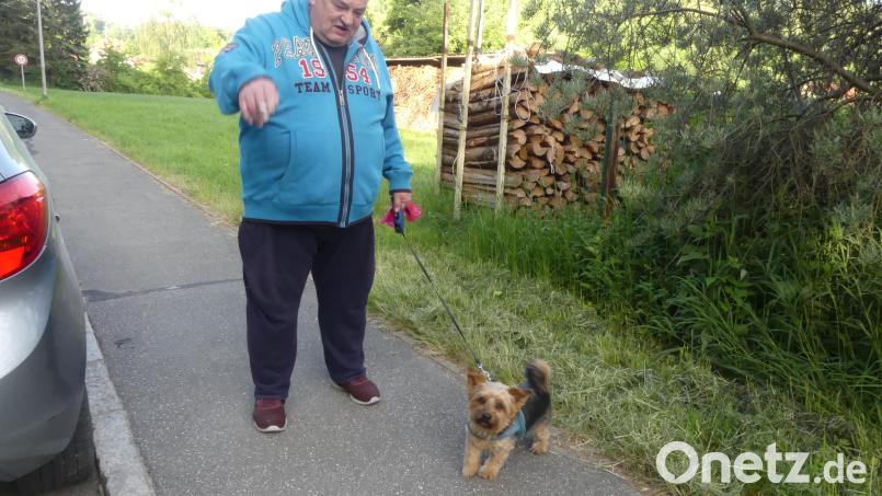 „Auch kleine Hunde können aggressiv sein“, räumt dieser Spaziergänger ein und zeigt Unverständnis für all jene, die ihren Hund „auf Wiesen kacken lassen“. Bild: rn