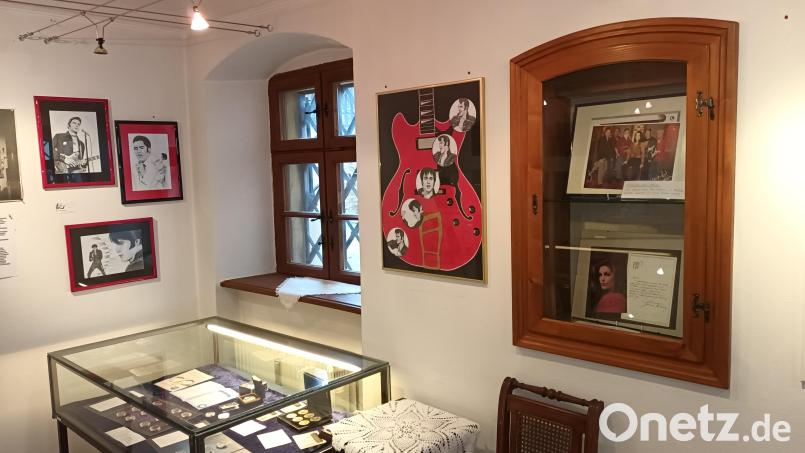 Bis zu 15 Stunden Arbeit stecken in Marion Schmids feinen Bleistift-Porträtstudien des unvergessenen &quot;King of Rock &#039;n&#039; Roll&quot;, die Sandra Doß&#039; Präsentation von Dokumenten und Fanartikeln über Elvis Presley im Kemnather Museum abrunden. Bild: bjp