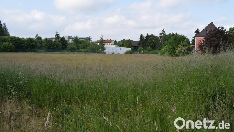 Die Firma Probau Massivhaus mit Sitz in Brand plant ein Mehrparteienhaus mit zwölf Wohnungen auf einer Grünfläche in der St.-Peter-Straße. Bild: szl