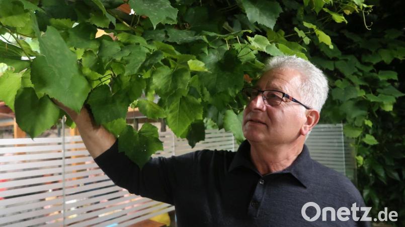 Willi Schwartz. Archivbild: Kunz