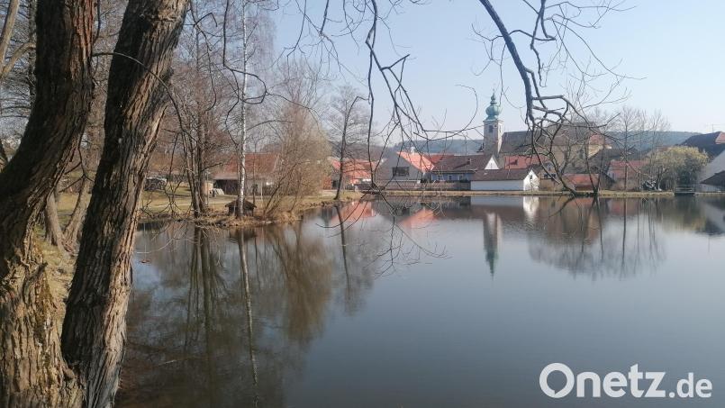 Am Marktweiher wollen die Jugendbeauftragten einen Sportplatz einrichten. Archivbild: wrl