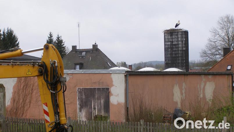Neben dem Gebäude mit dem Kamin, auf dem das Storchenpaar sein Nest gebaut hat, ist inzwischen mit einer privaten Baumaßnahme begonnen worden. Von den Arbeiten, die in enger Abstimmung mit der Unteren Naturschutzbehörde am Landratsamt Tirschenreuth erfolgen, lässt sich der Weißstorch aber nicht beeindrucken. Bild: pz