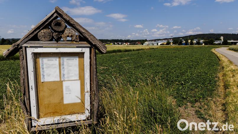 Nahe Ettmannsdorf (im Hintergrund) hat Manfred Beer aus Pretzabruck schon 2019 eine Blühweise angelegt und in diesem Jahr neu angesät. Bild: Hösamer