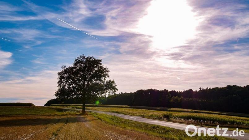 Viel Sonne und sommerliche Temperaturen bringt das Wochenende. Bild: Steff Knorr