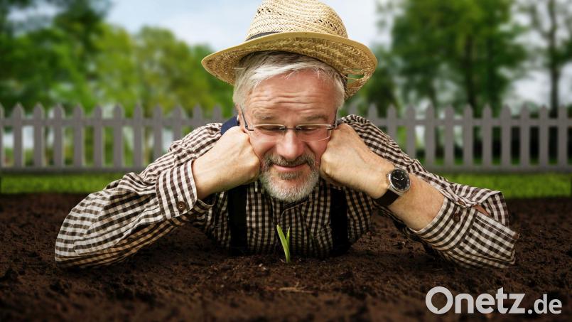 Die reine Freude ist es, wenn das erste Grün sprießt. Symbolbild: lassedesignen – stock.adobe.com