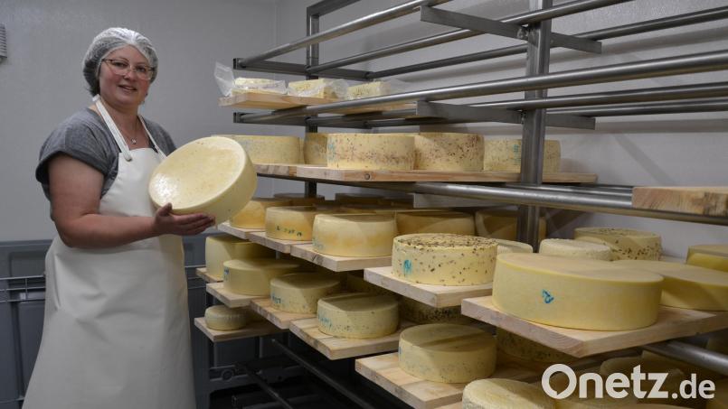 Michaela Weigl prüft einen Käselaib aus eigener Produktion im Reiferaum in Tirschenreuth. Die Bäuerin vom Walerhof in Pilmersreuth an der Straße gehört zu den fünf Gesellschafterfamilien, die sich zur Grenzlandkäserei zusammengeschlossen haben. Bild: as