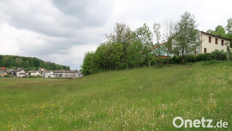 Ein Ausblick über Friedenfels und in den Steinwald würde nach dem Rückbau des ehemaligen Jugendtreffs „Exile“ (im Bild rechts oben) vom neuen Dorfplatz aus, der hier entstehen soll, möglich sein. Bild: bsc
