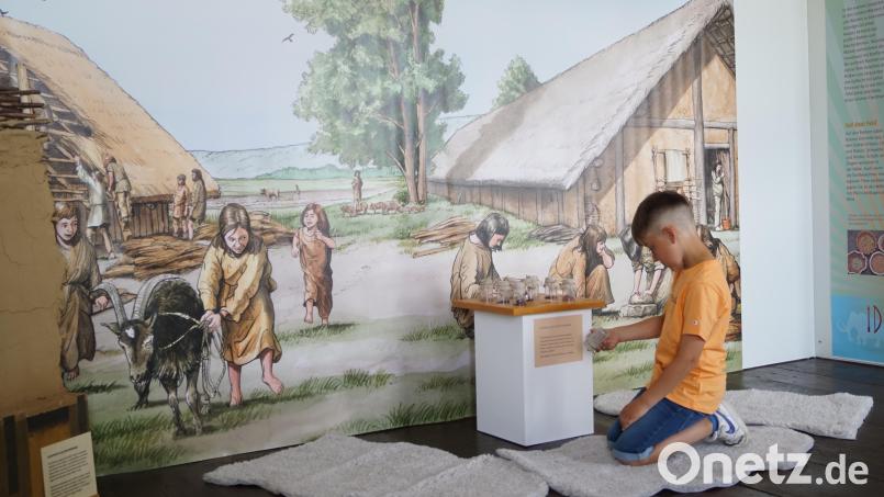 Speziell für Kinder und Familien ist die Ausstellung „Als das Mammut zu schwitzen begann…“ im Pfreimder Stadtmuseum gedacht. Bild: Carola Reul/exb