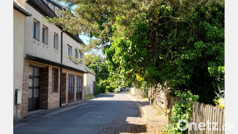 Nicht zurückgeschnittene Bäume und Sträucher im Stadtgebiet ragen auf Straßen, Gehwege und Nachbargrundstücke. Bild: Bauhof Neustadt/WN/exb