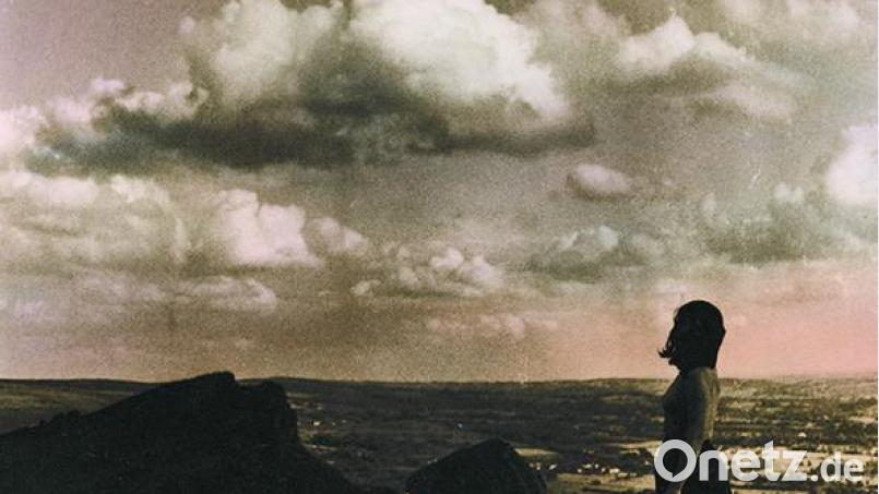 Mt. Desolation - Through Crooked Aim (Cargo) Bild: Cargo