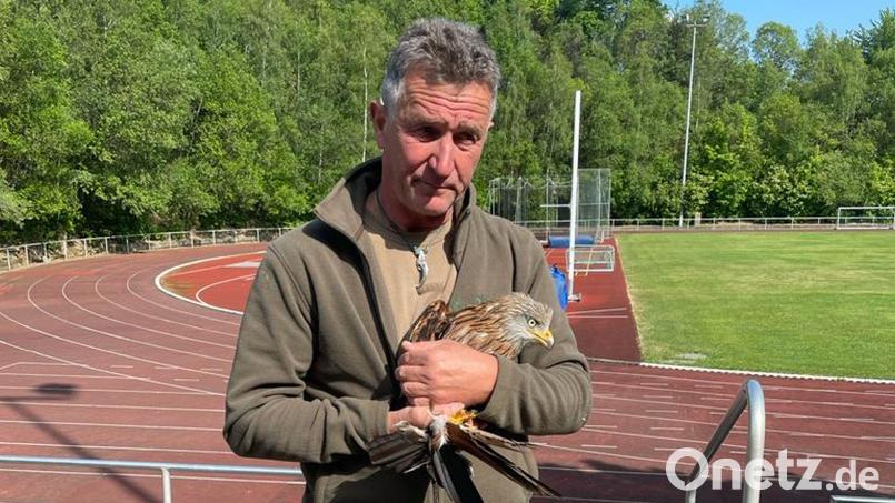 Eckard Mickisch mit Rotmilan Franzl im Fichtelgebirgsstadion. Bild: Daniel Wolf/exb