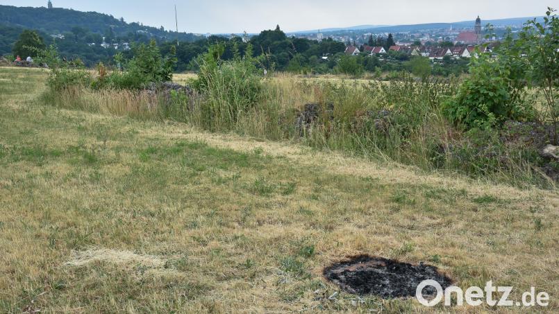 Die ehemalige Deponie auf dem Erzberg ist inzwischen beliebtes Ausflugsziel. Leider werden hier trotz der Trockenheit immer wieder Feuer angezündet. Bild: Stephan Huber