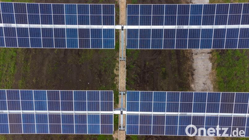 Solarmodule einer Agrar-Photovoltaik-Anlage (Aufnahme mit einer Drohne): Bei Seedorf ist ein ähnliches Projekt geplant. Da die PV-Anlage sehr senkrecht aufgestellt wird, können 85 Prozent der Fläche weiterhin landwirtschaftlich genutzt werden. Symbolbild: Philipp Schulze/dpa