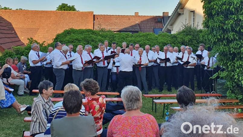 Bei strahlendem Sonnenschein konnten die Gäste im Kürmreuther Kirchhof die Sommerserenade genießen. Bild: wku