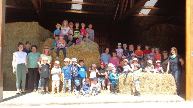 Ausflug des Kinderhauses &quot;Steinwaldzwerge&quot; auf den Bauernhof zur Aktion des Bauernhoftages. Bild: Kinderhaus Steinwaldzwerge/exb