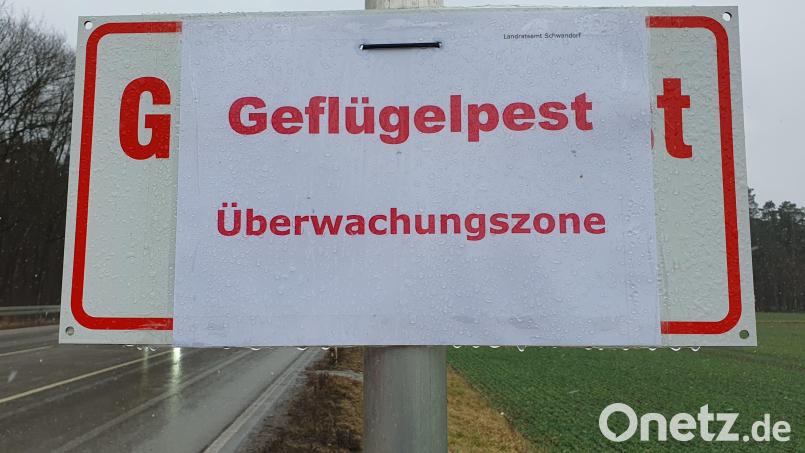 Zum Schutz vor der Geflügelpest gilt im südlichen Landkreis Schwandorf weiterhin eine Überwachungszone. Archivbild: Hösamer