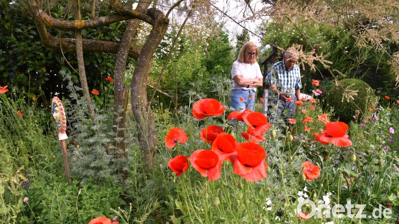 Lucia Heindl, Vorsitzende des Obst- und Gartenbauvereins Erbendorf, lässt sich von Johann Mautner durch seinen prächtigen Garten führen. Am Sonntag dürfen sich dort alle Bürger umsehen. Bild: ubb