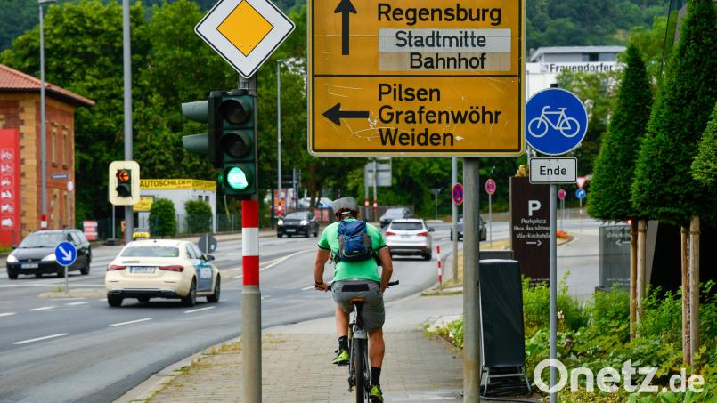 Die Stadt Amberg will fahrradfreundliche Kommune werden. Dafür hat der Stadtrat einstimmig plädiert. Bild: Petra Hartl