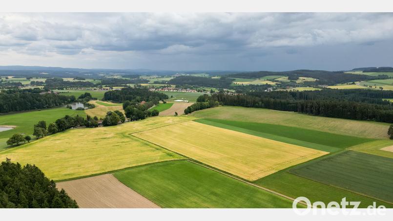 Auf dieser landwirtschaftlichen Fläche bei Stockau soll ein Solarpark entstehen. Im Hintergrund ist Krummennaab erkennbar. Bild: nza