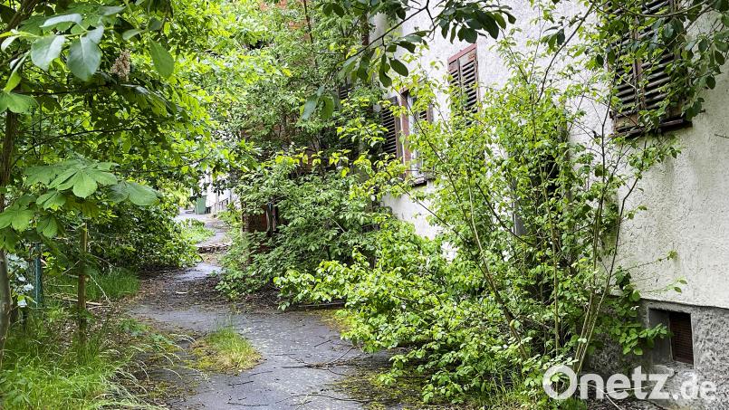 In der oberen Bahnhofstraße in Schirnding herrschte einst pralles Leben. Heute holt sich die Natur die Wohnblocks zurück. Bild: Matthias Bäumler/fph