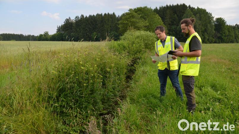 Die Umweltingenieure des Wasserwirtschaftsamtes Weiden, Stefan Weig (links) und Michael Winkler, sind derzeit im Stadtgebiet Vohenstrauß an den Fließgewässern unterwegs, um die Gewässerrandstreifen-Kulisse zu erstellen. An der Lerau, unterhalb der Neumühle zeigen sie sich sehr zufrieden mit der Einhaltung des Grüngürtels hin zum Gewässer. Bild: dob